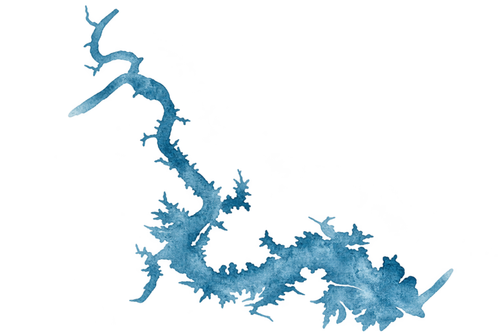 Watercolor illustration of Lake LBJ in the Texas Hill Country